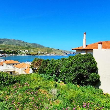 Andros Apartment - Lasia Exterior foto