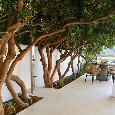 Andros Apartment - Lasia Exterior foto